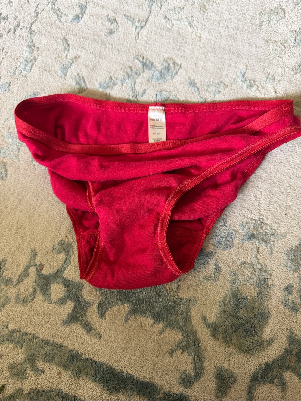 Ambrielle Bright Red Women's Bikini Brief Panty